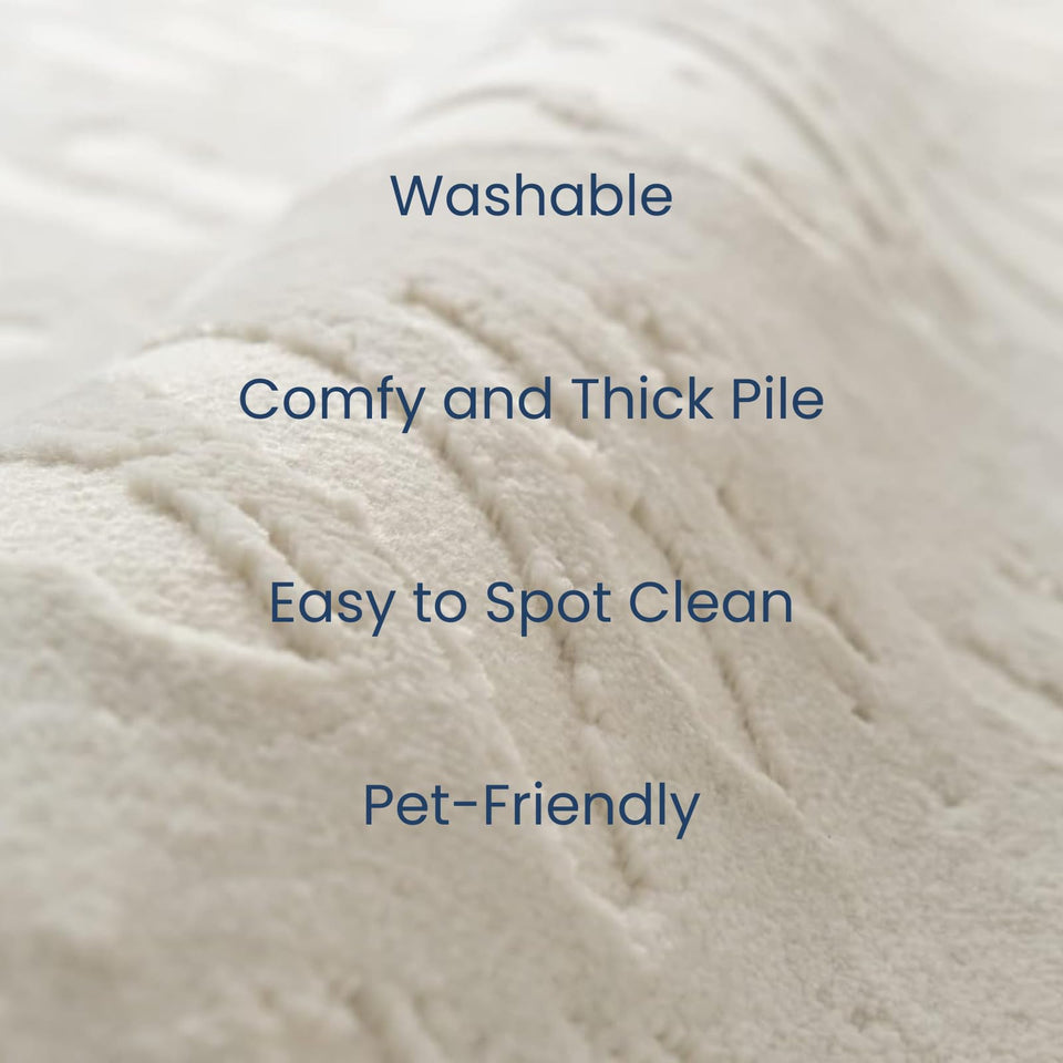 Revival Rugs Shell 5'3"x7'10" Washable Area Rug for Living Room Bedroom - 100% Recycled Oeko-TEX Certified, Medium Pile, Beige, Cream