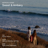 Salt & Stone Body Wash with Antioxidants for Deep Moisture | For Women & Men, Sulfate, Paraben, & Dye Free, Leaving Skin Soft and Hydrated | Bergamot & Hinoki 15.2 fl oz