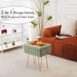 Wimarsbon Storage Ottoman, Vanity Stools with Metal Legs, 16.5" x 11.8" x 18" Modern Faux Mink Fur Footstool, Makeup Chair with Anti-Slip Feet, Accent Table,Footrest,Storage Bench for Bedroom