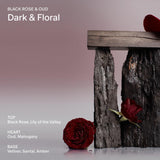 Salt & Stone Body Wash with Antioxidants for Deep Moisture | For Women & Men, Sulfate, Paraben, & Dye Free, Leaving Skin Soft and Hydrated | Bergamot & Hinoki 15.2 fl oz