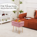 Wimarsbon Storage Ottoman, Vanity Stools with Metal Legs, 16.5" x 11.8" x 18" Modern Faux Mink Fur Footstool, Makeup Chair with Anti-Slip Feet, Accent Table,Footrest,Storage Bench for Bedroom