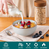 vancasso Bonita Dinnerware Set 24 Pieces Blue Stoneware Service for 6, Handpainted Spirals Pattern Stoneware Combination Set