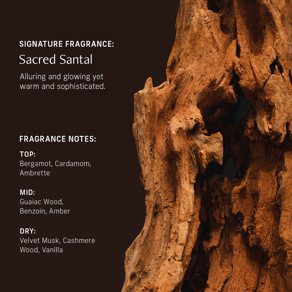 CYKLAR Sensorial Body Wash. Vanilla Verve Hydrating Cleanser with Moisture Locking Multi-Oil Complex, Sodium PCA and Glycerin. Nourishing Shower Gel for Women and Men, 16.5 Fl Oz Luxury Bodywash