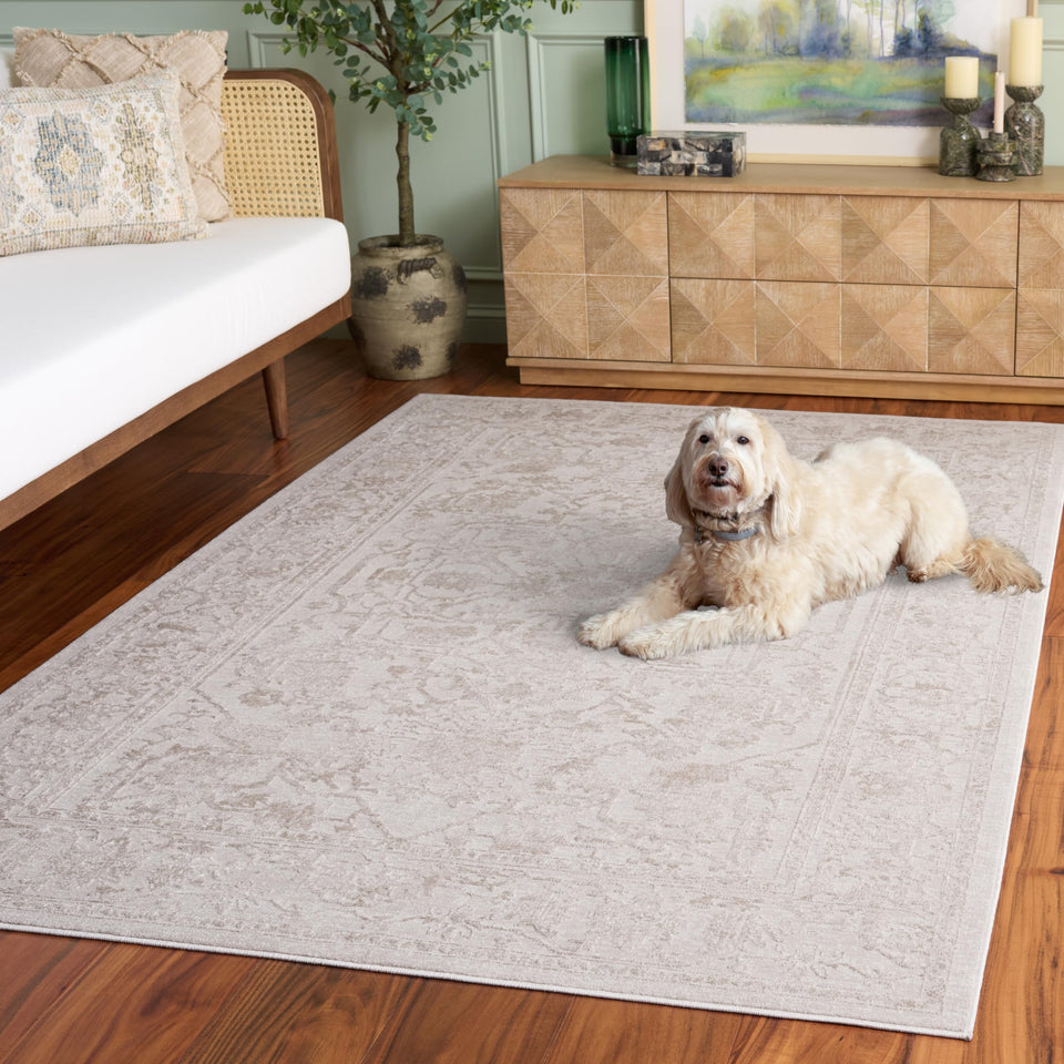 SAFAVIEH Area Rug 9x12 - Reflection Collection - Large - Cream & Ivory, Non-Shedding & Easy Cleaning, Ideal for Living Room, Bedroom, Dining Space (RFT665D)