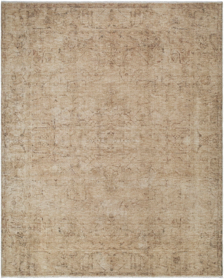 Livabliss x Galey Alix Fetscher V Vintage Damask Area Rug, 7'10" x 10' (8' x 10'), Dusy Sage